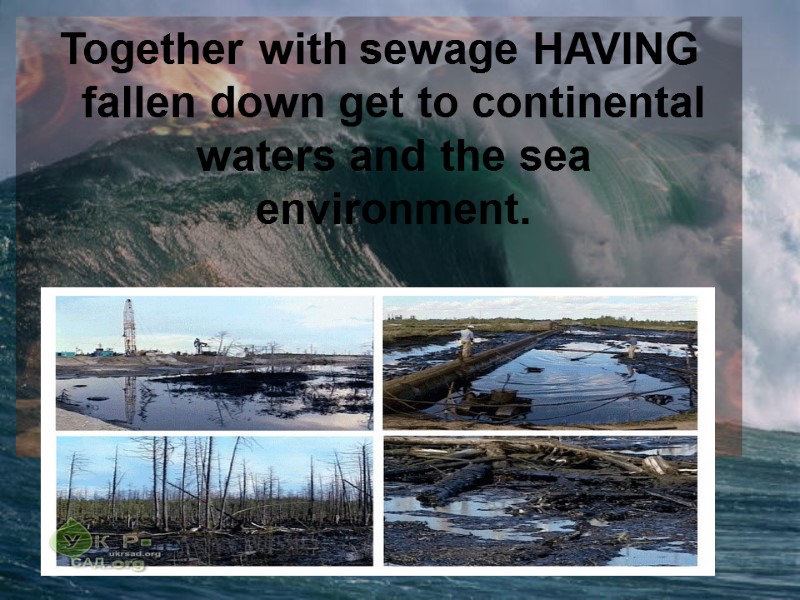 Together with sewage HAVING fallen down get to continental waters and the sea environment.